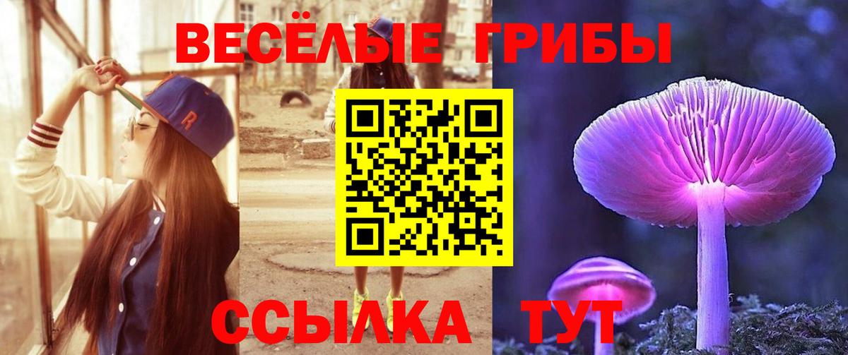 Псилоцибиновые грибы GOLDEN TEACHER Армавир