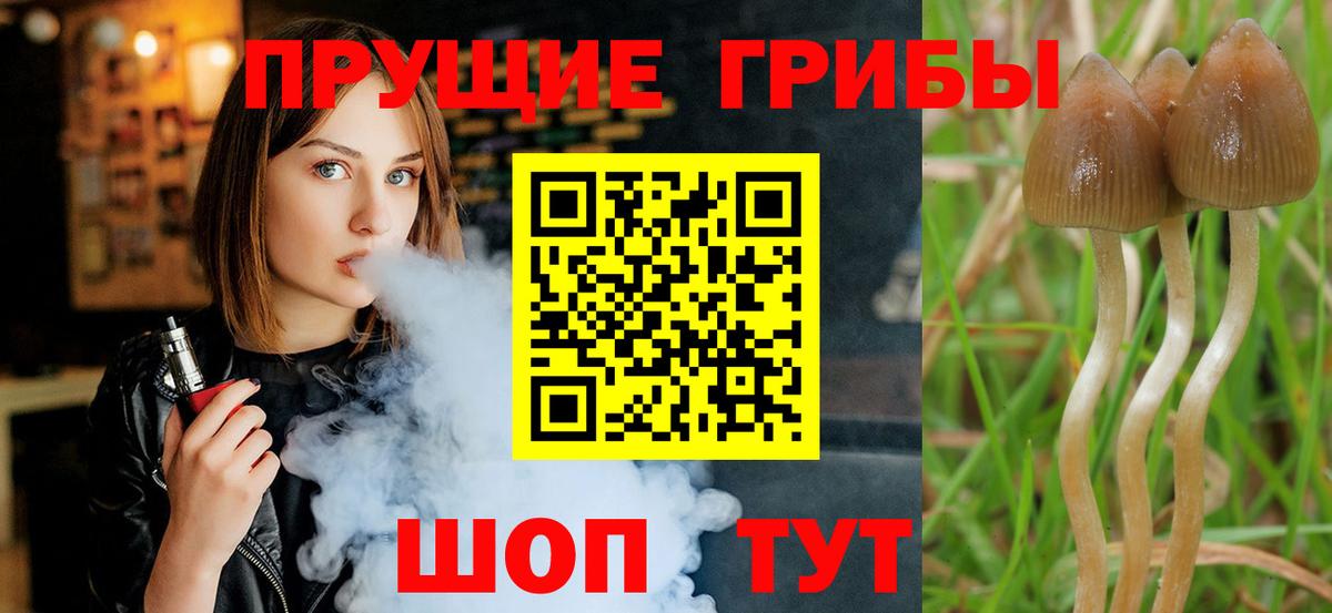 Галлюциногенные грибы Magic Shrooms  Вход с VPN  Армавир  Псилоцибиновые грибы Psilocybine cubensis 